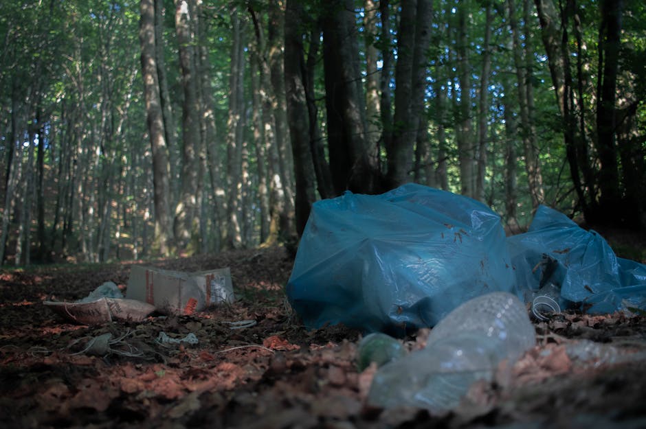 Avoid hidden rubbish removal charges in Waltham Forest