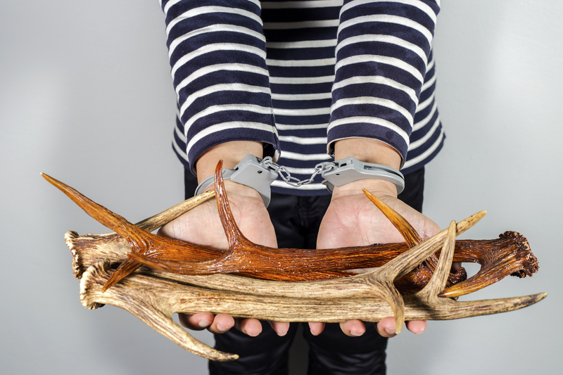 Rubbish removal rubbish disposal