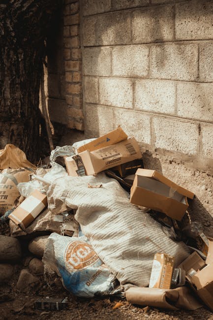 A pile of discarded cardboard boxes, some flattened and others partially intact, are scattered on the ground against a weathered brick wall and a large tree trunk. The boxes vary in size and are light
